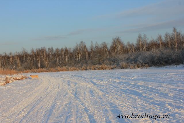 Еловый мыс зимой окрестности поселка Палкино Екатеринбург